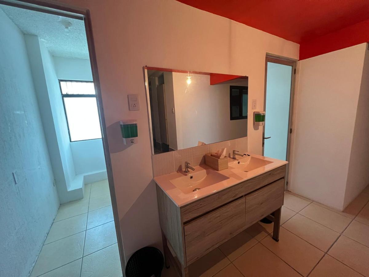 אכסניה Citadin *
